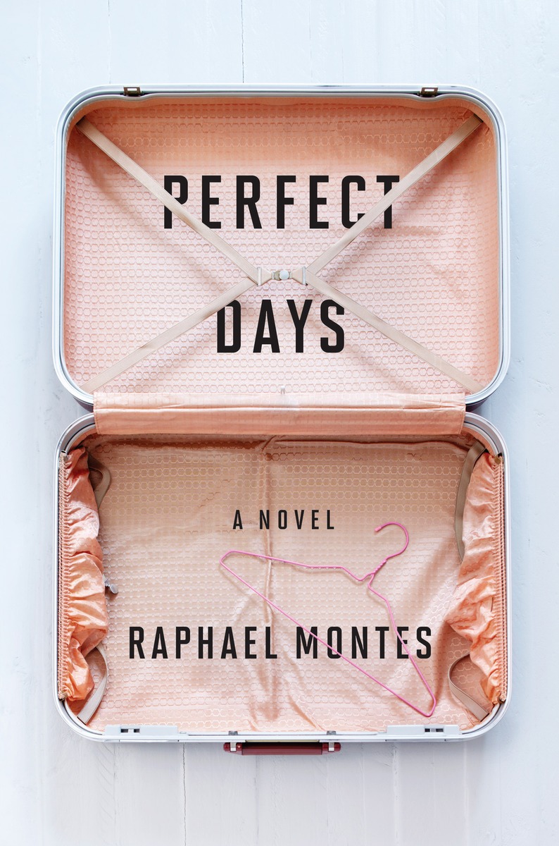 perfect days raphael montes book